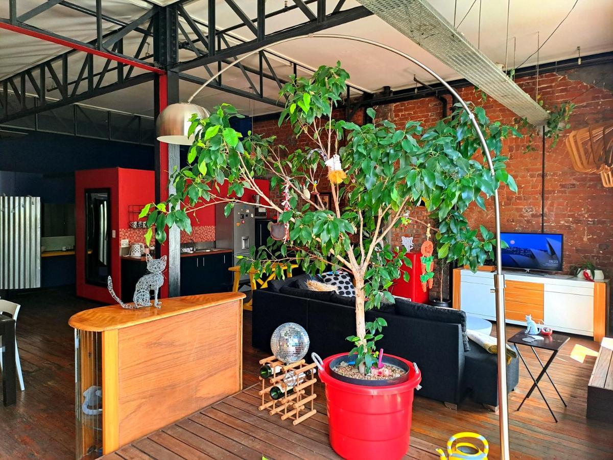 Pet-Friendly City Loft Apartment 케이프타운 외부 사진