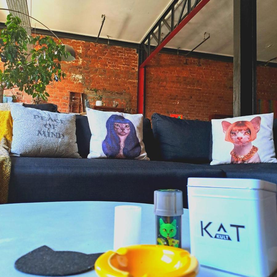 Pet-Friendly City Loft Apartment 케이프타운 외부 사진