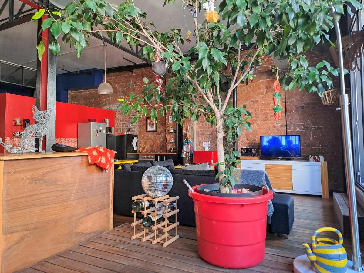 Pet-Friendly City Loft Apartment 케이프타운 외부 사진